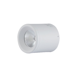 Đèn Downlight nổi trần trang trí NT01 90/10W