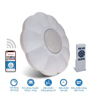 Đèn LED ốp trần thông minh wifi 48w LN15.WF.IR 490/48W